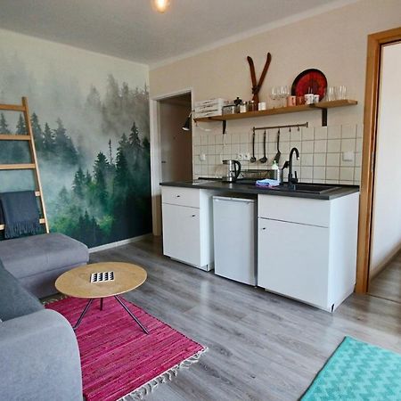 ザコパネApartament Bazatatry Sloneczny IIアパートメント エクステリア 写真