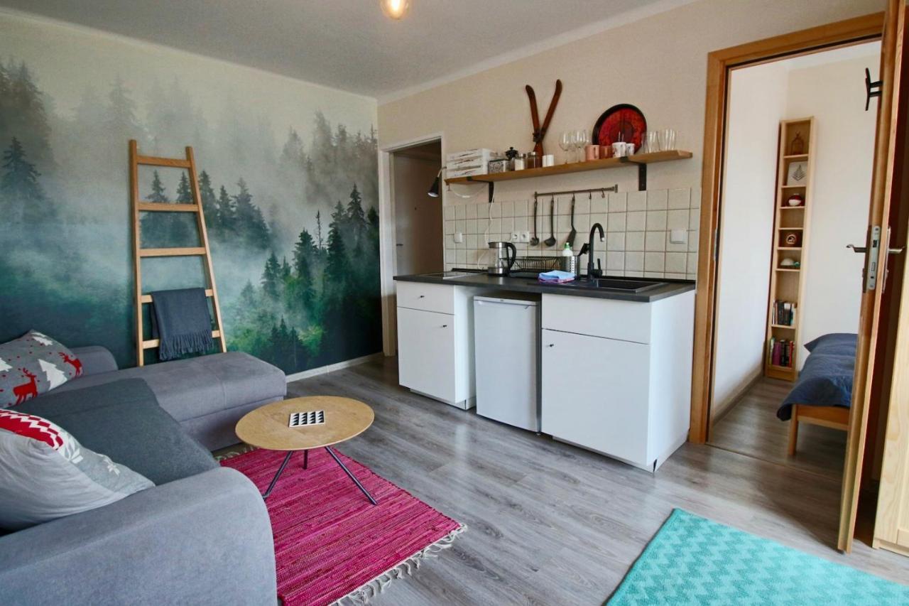 ザコパネApartament Bazatatry Sloneczny IIアパートメント エクステリア 写真