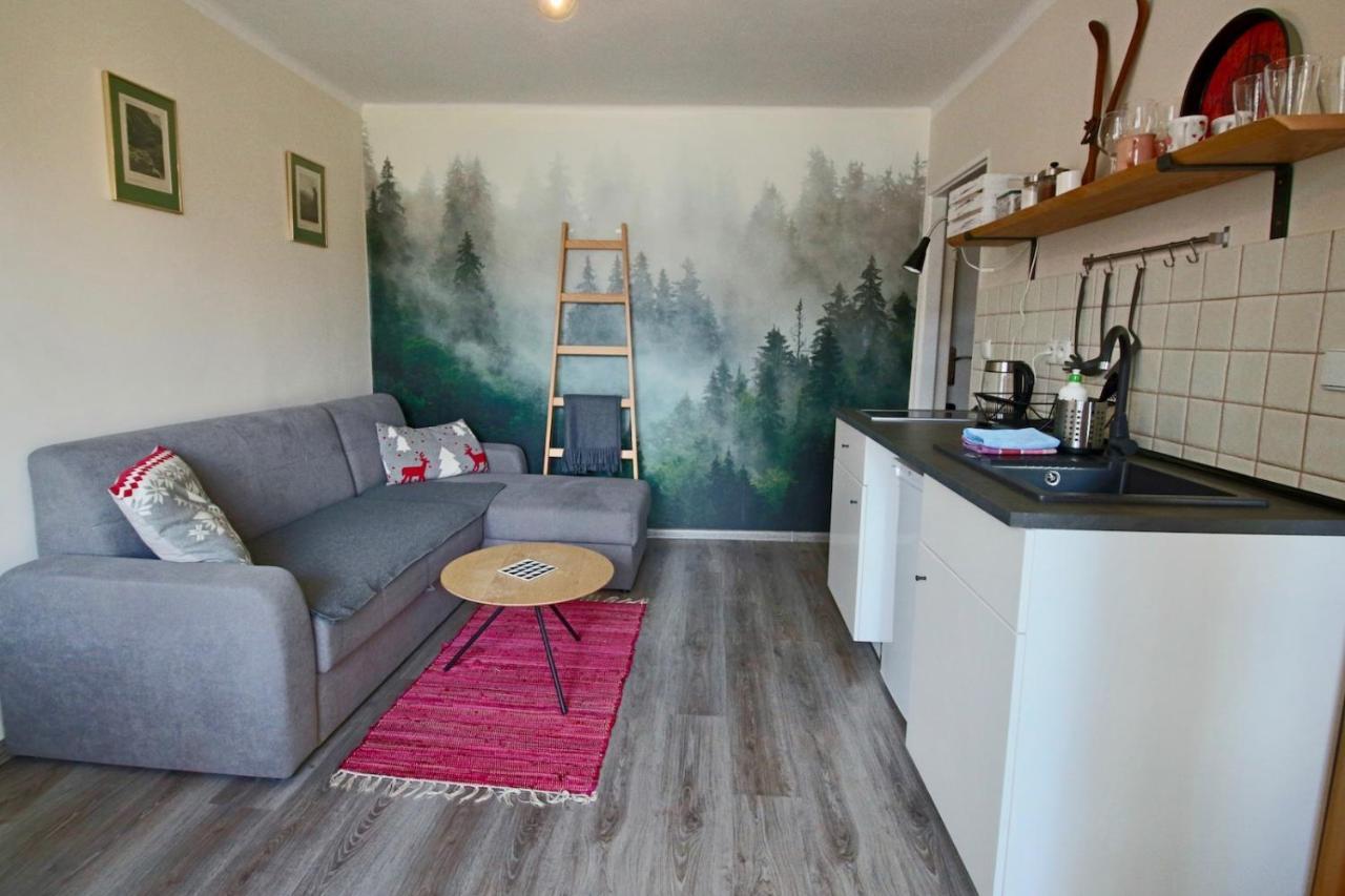 ザコパネApartament Bazatatry Sloneczny IIアパートメント エクステリア 写真