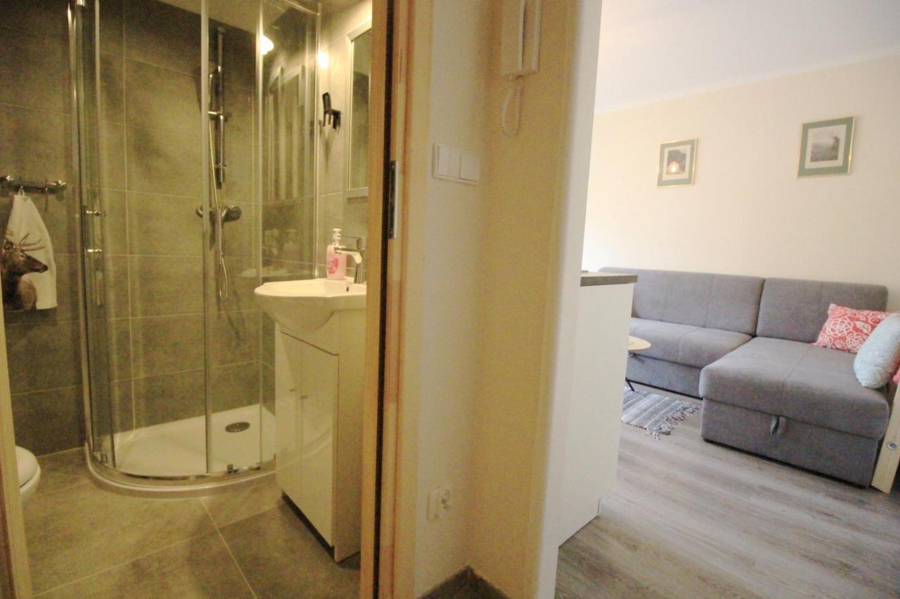 ザコパネApartament Bazatatry Sloneczny IIアパートメント エクステリア 写真