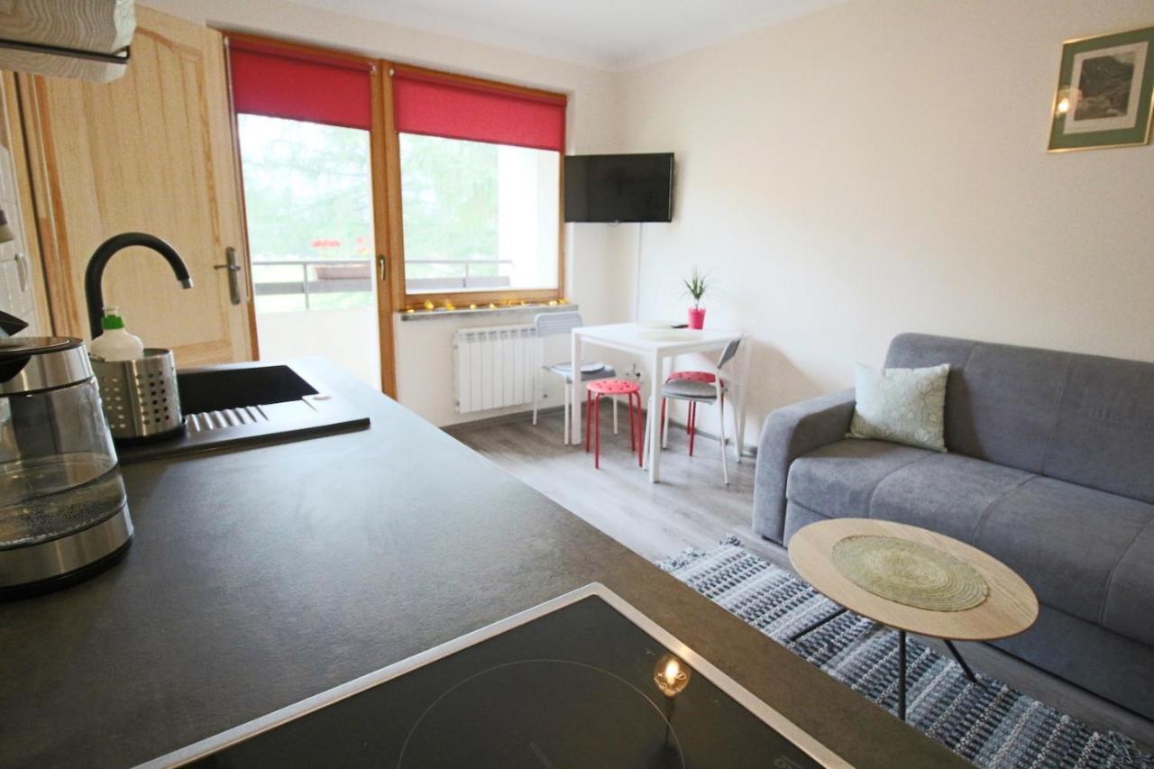 ザコパネApartament Bazatatry Sloneczny IIアパートメント エクステリア 写真